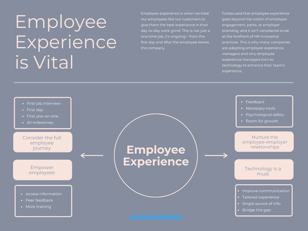 the employee experience