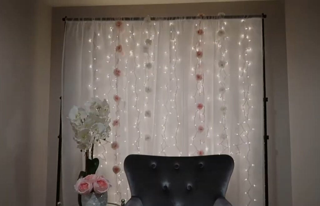 Fairy Lights (LED Lights)